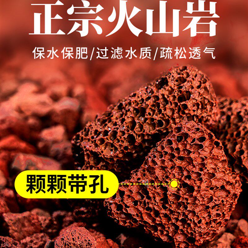 红火山石颗粒火山岩铺底铺面兰花专用土多肉营养土水族鱼缸垫底砂