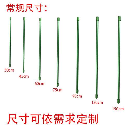 花盆植物扶花杆枝支撑架绿植防倒金钱树支撑杆绑带发财树固定支架