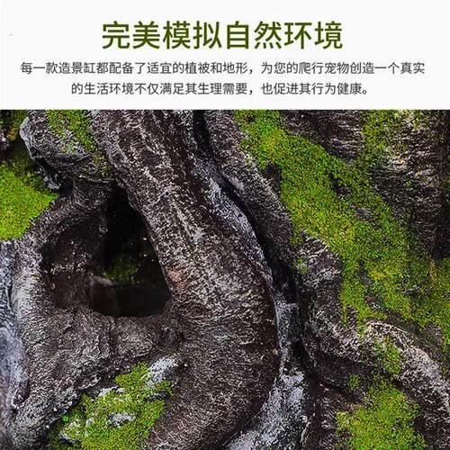 爬宠饲养箱守宫睫角蜥蜴蜘蛛角蛙蛇蝎水陆两栖生态造景雨林玻璃缸