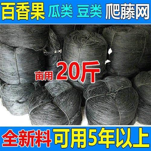 百香果吊果挂果搭架专用爬藤网瓜果豆类罗汉果网豆角大棚网种植网