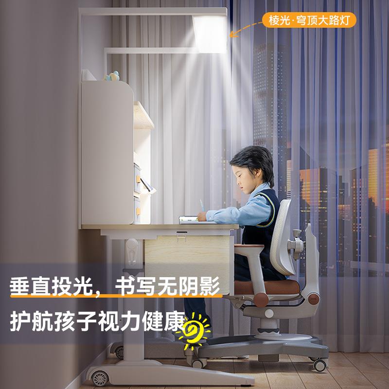 儿童学习桌家用可升降实木书桌小学生写字作业专用课桌子椅子套装