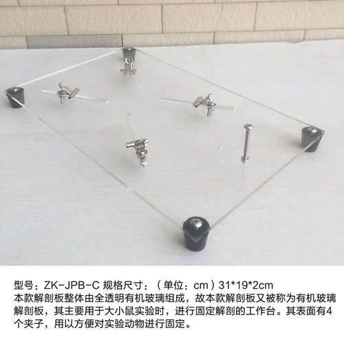 升降款实验器材大小白鼠解剖板固定器ZK-JPB-D不锈钢工作台夹子蛙