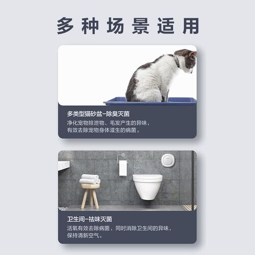 高温臭氧空气消毒机除甲醛厨房异味卧室杀细菌病毒空气净化器家用