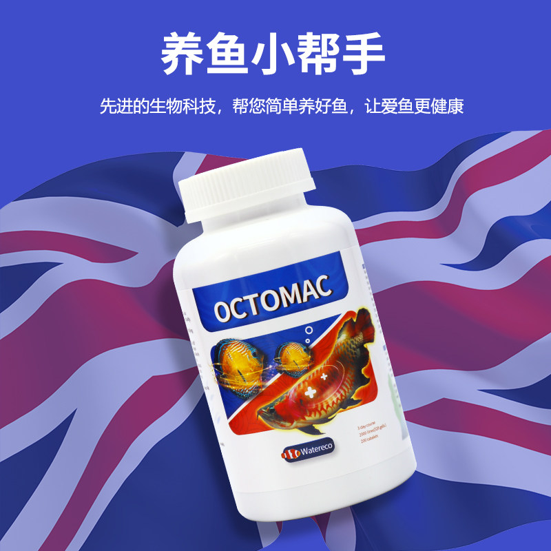 Watereco大白片内寄头洞凸眼病肠炎腹水龙鱼金鱼罗汉观赏鱼用