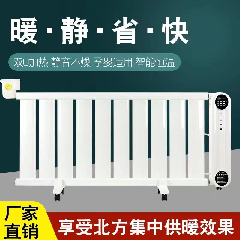 暖气暖炕一体机水循环双温双控智能加热电热水暖炕主机全套
