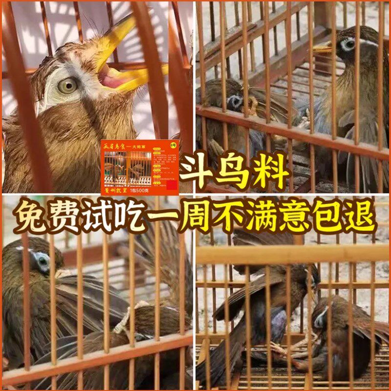 精品画眉鸟食饲料打彩打鸟画眉斗鸟唱鸟提性壮膘手工营养打口500g