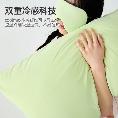 夏季凉感丝信封枕套一对装48cmx74cm枕头套家用枕芯内胆套宿舍