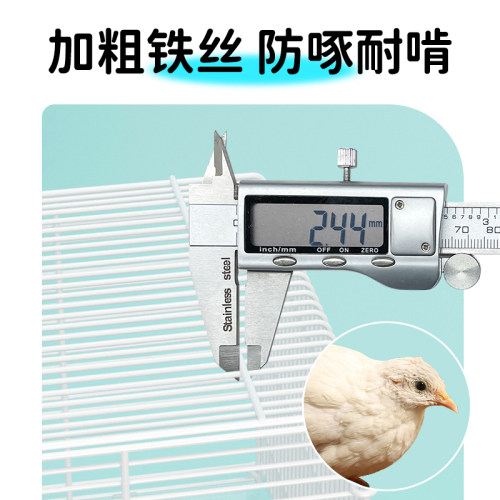 芦丁鸡宠物饲养箱幼鸡专用鸡笼子观赏养殖笼全套卢丁鸡的房子箱子