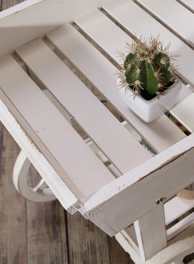 美式乡村花园园艺多肉花架 做旧手推车花房花车 实木橱窗花架摆件