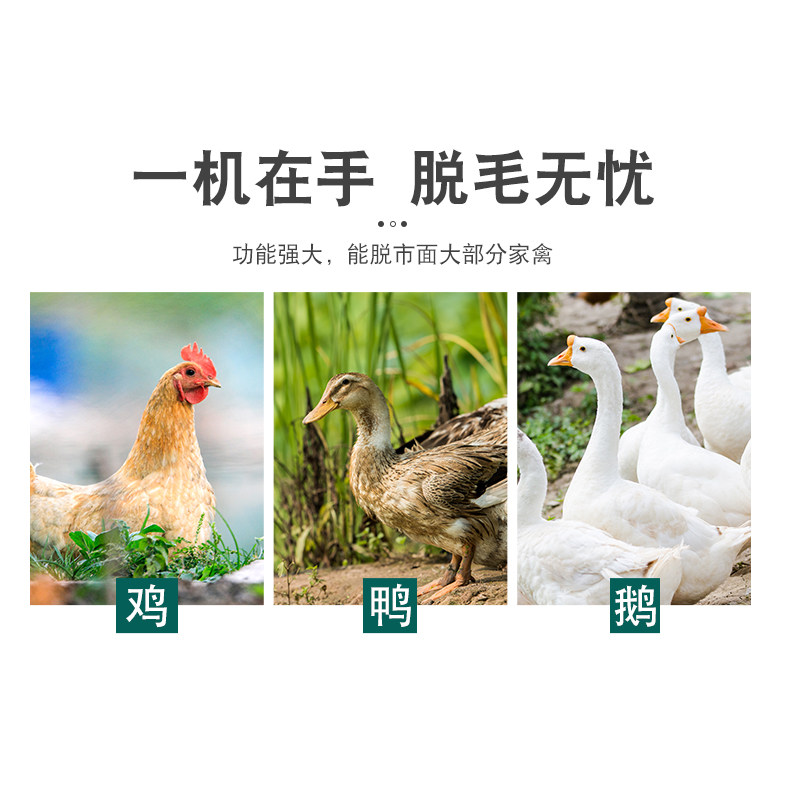 中型电瓶家禽脱毛机全自动鸡鸭鹅去毛机兔子鸽子拔毛机大型脱毛机