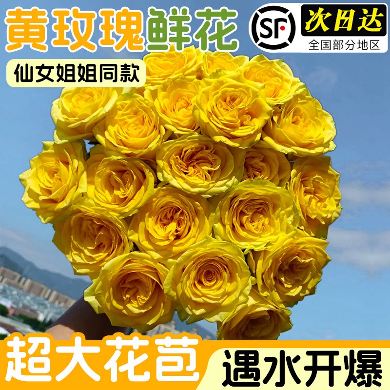 黄玫瑰花鲜花云南基地直发顺丰次日达香槟玫瑰花卉鲜切花家用插花图片