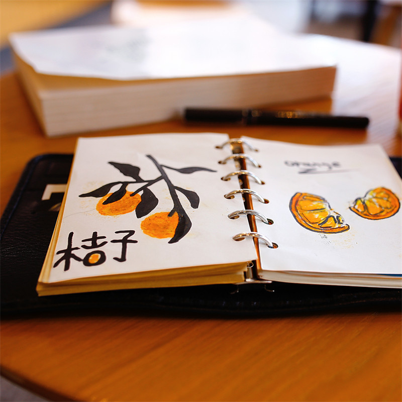 A7活页手帐本真皮多功能旅行记事本小巧可携式a7a6可替换内芯皮本
