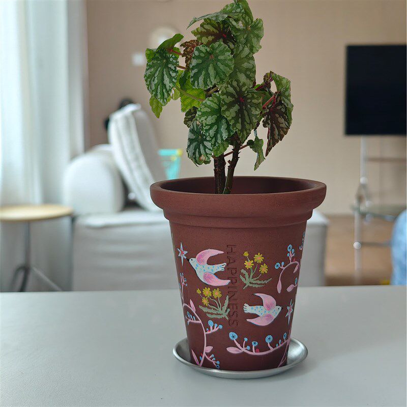小口径粗陶紫砂花盆办公桌面绿植蝴蝶兰球兰利水透气家用装饰摆件