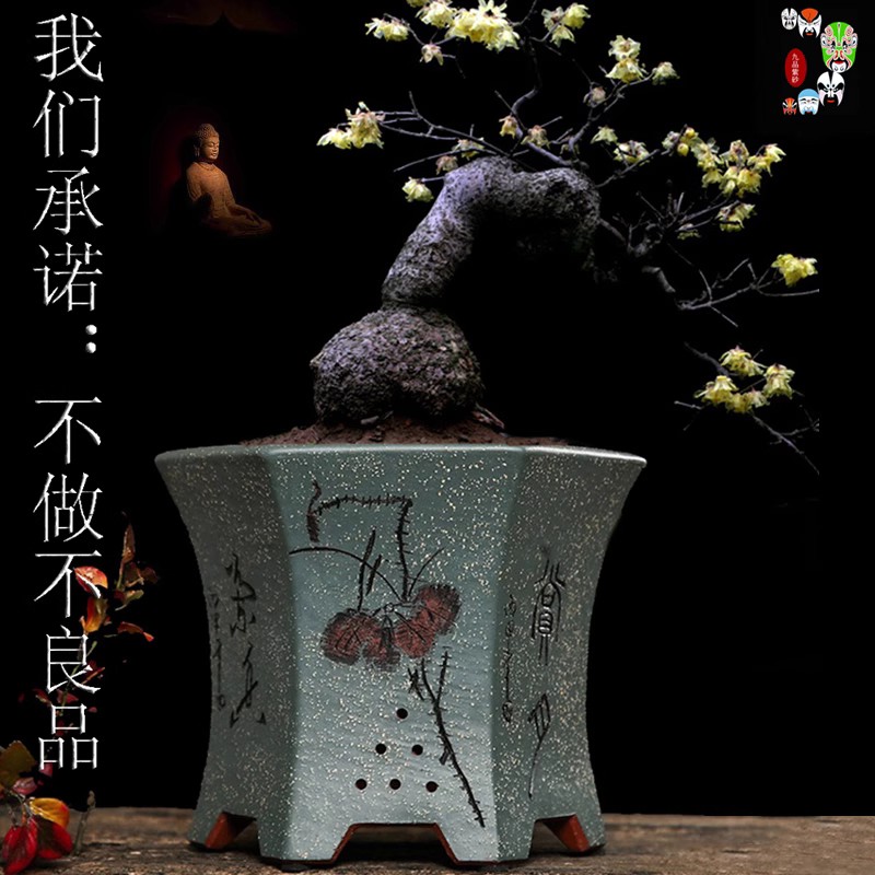宜兴紫砂花盆束腰六方兰花盆景盆栽金弹子多肉盆全手工精品室内盆