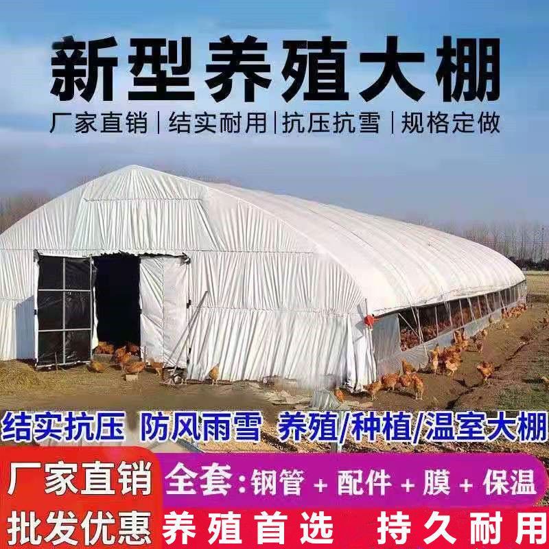 养殖大棚全套大棚骨架家用温室种植棚专业养鸡棚羊棚牛棚养猪大棚