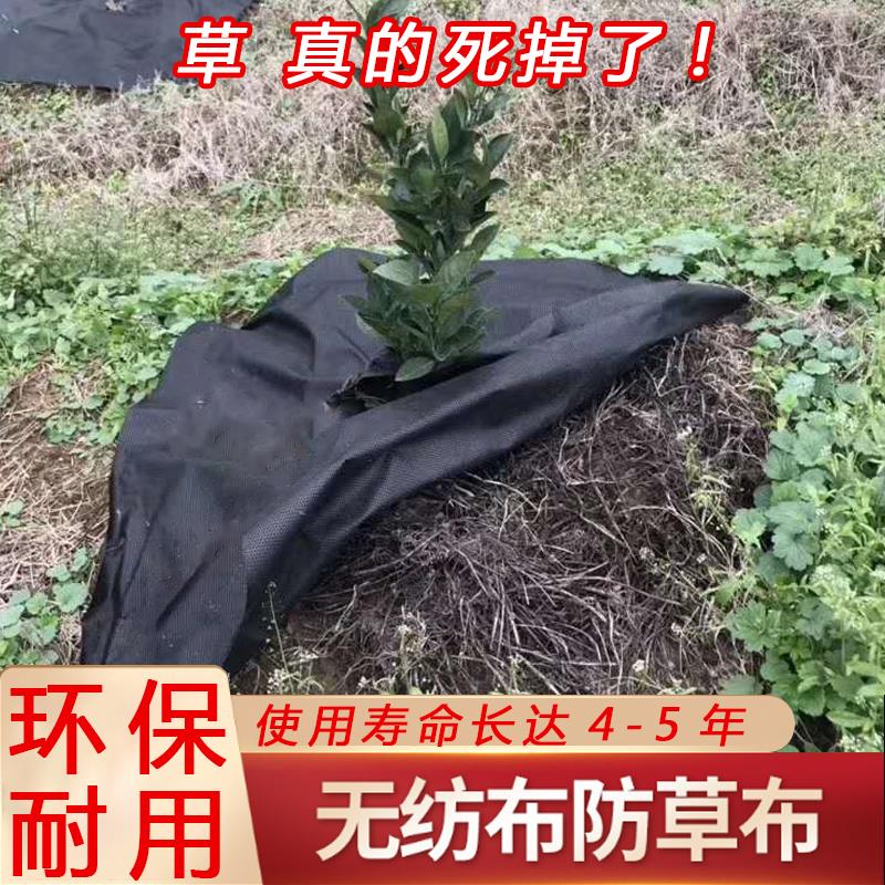 地布防草布除草布农用果园耐用抗老化透水保湿地膜遮草布厂家直销