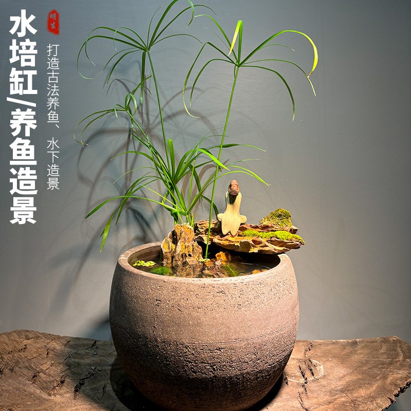 古法养鱼大缸黑色复古紫砂防水景德镇陶瓷睡莲盆荷花专用花盆水缸