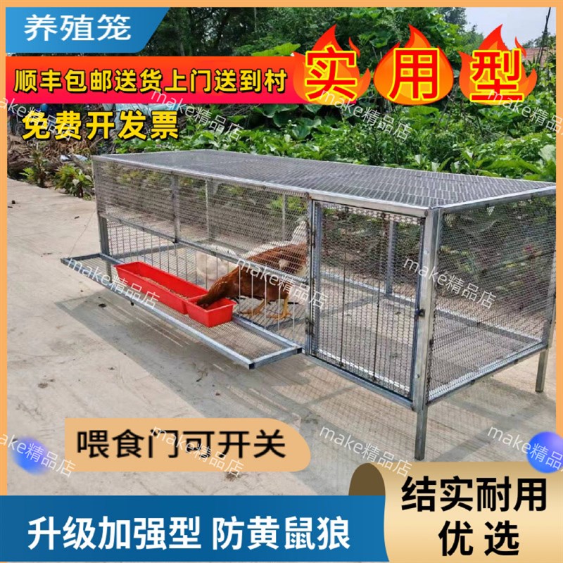 鸡笼家用室内防黄鼠狼自动出蛋饲养笼铁丝网鸽子鸭兔不锈钢养殖笼