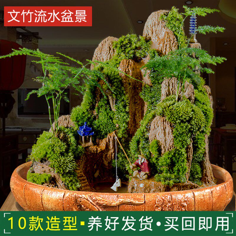 瀑布流水文竹盆栽植物室内盆景办公室流水假山造景摆件客厅小绿植
