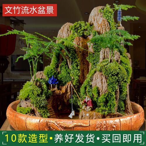 瀑布流水文竹盆栽植物室内盆景办公室流水假山造景摆件客厅小绿植