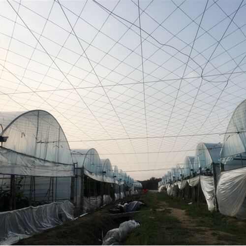 百香果网百香果搭架专用爬藤网架子网搭棚网攀爬棚架网沃柑吊果网