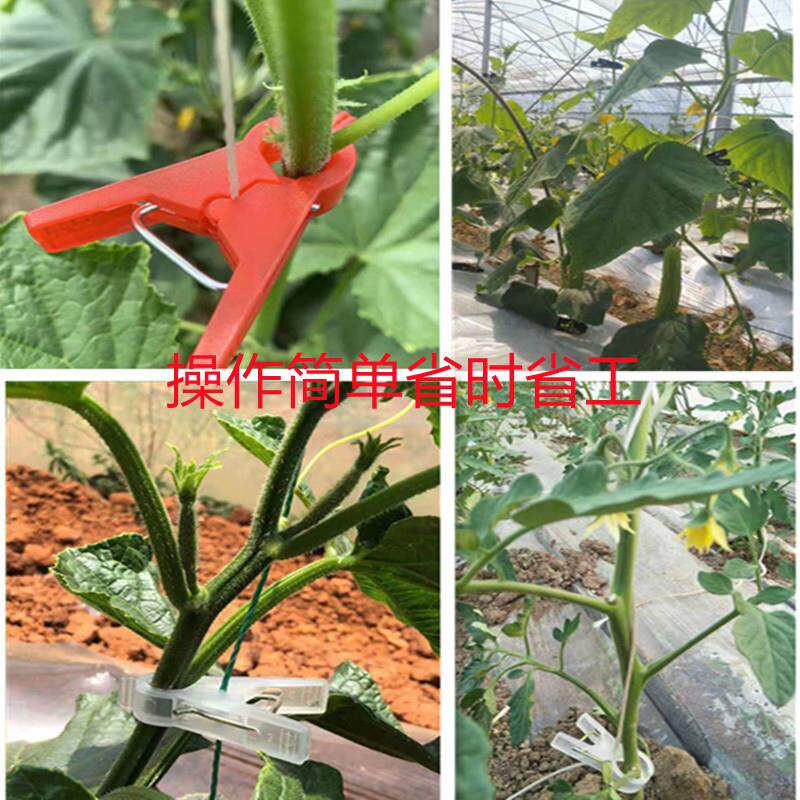 黄瓜吊秧夹子西红柿辣椒甜瓜西葫芦夹大棚蔬菜扶蔓夹落秧夹绑蔓夹