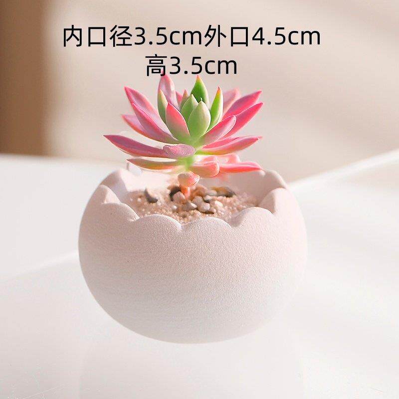 创意花盆多肉植物盆栽陶瓷手工制作波浪口小型迷你桌面装饰陶瓷盆