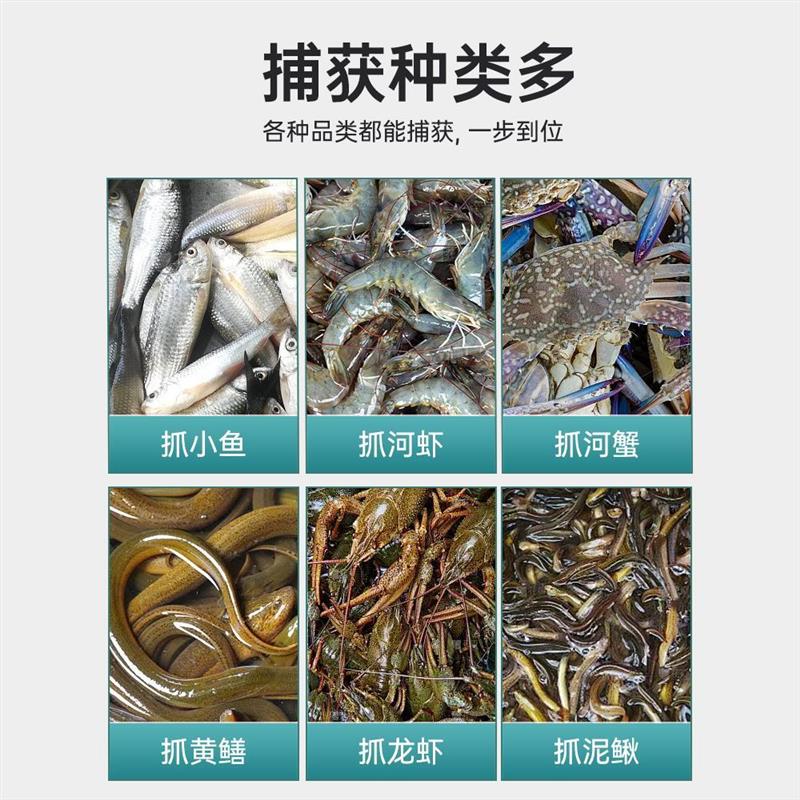 鱼笼新款鱼虾笼捕虾网捕鱼网泥鳅黄鳝螃蟹笼只进不出捕小鱼渔网笼