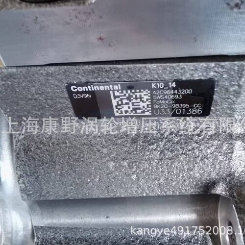 原装喷油泵A2C96443200 5WS40693 BK2Q-9B395-CC-CA