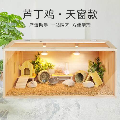 芦丁鸡保温箱鸡饲养箱幼专用小鸡笼子鸡窝造景恒温箱卢丁鸡育雏箱