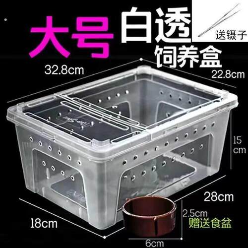 爬宠饲养盒两栖蜗牛蜘蛛守宫角蛙大号乌龟饲养箱带躲避造景爬虫盒