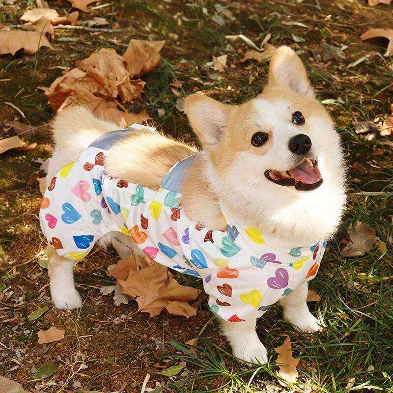 狗狗罩衣防脏狗狗衣服防尘服户外防脏腿裤遛狗神器中小型犬衣服柯