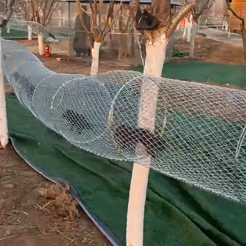 松鼠跑道笼子室外萌宠园跑笼松鼠宠物隧道笼子不锈钢镀锌铁丝网厂