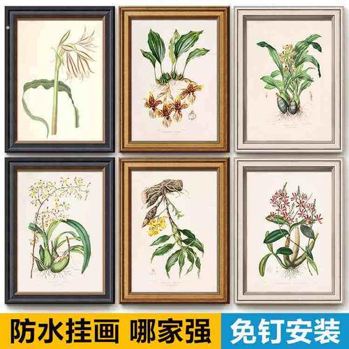 现代简约小清新植物客厅餐厅走廊浴室厕所卫生间墙壁防水装饰挂画