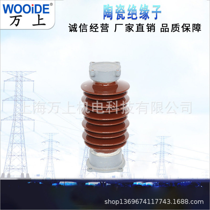 ZSW-35KV/4/6高压陶瓷支柱绝缘子 ZS-35/4户内外线路用支撑瓷瓶图片
