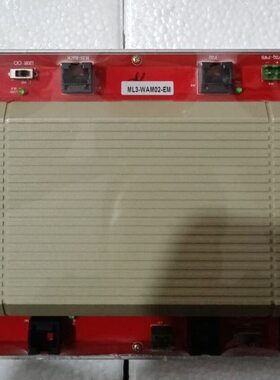 网M数字0A1WV00MM-联WV00- WA32A2GL8-控制器0AH3HAL3冠林  -00WA