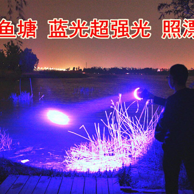 蓝光钓鱼灯100W矿灯夜钓灯白光锂电池电瓶LED强光头灯充电垂钓灯