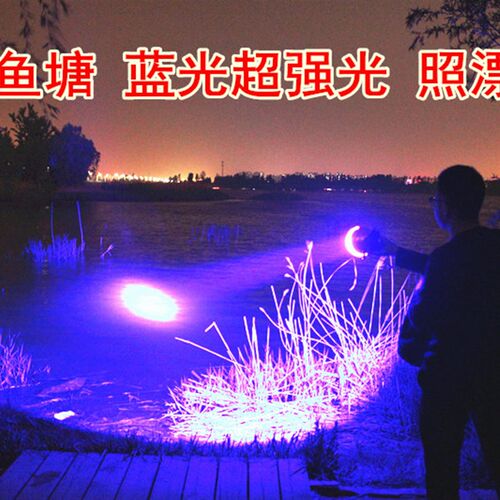 蓝光钓鱼灯100W矿灯夜钓灯白光锂电池电瓶LED强光头灯充电垂钓灯