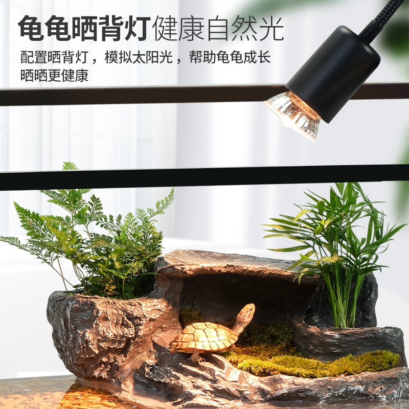 乌龟专用饲养缸生态缸龟缸大型龟池养草龟专用缸家用养殖箱巴西龟