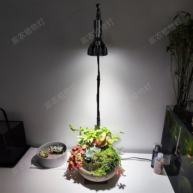全光谱植物生长灯桌面台式小型盆景盆栽龙舌兰块根仙人球补光灯