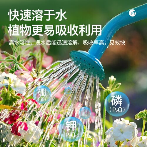 绣球专用磷酸二氢钾蟹爪兰花卉绿植通用促花绿叶家用养花水溶肥料