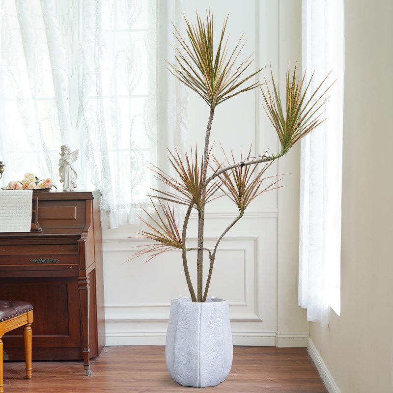 造型七彩铁千年木大型盆栽绿植马尾铁办公室客厅阳台龙血树植物