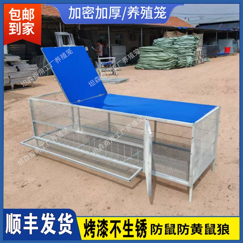 兔笼养鸡鸡笼子室外专用鸽子笼鸡鸭鹅鹌鹑折叠养殖笼防黄鼠狼鸡舍
