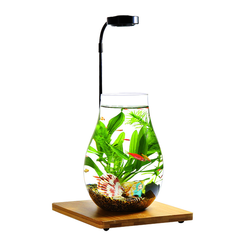 带LED灯迷你水族箱创意diy生态瓶鱼微景观办公桌面小型玻璃鱼缸