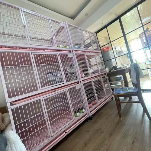 金奥新款垫板款猫笼宠物笼猫笼子宠物店猫舍寄养展示繁育养殖家庭