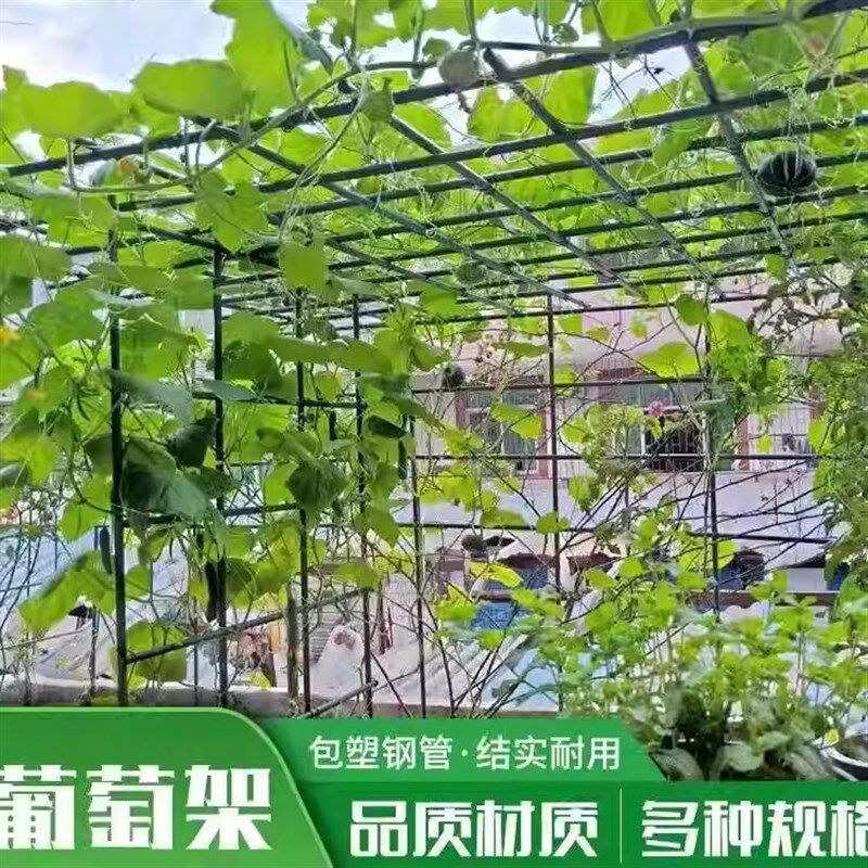 植物爬藤架户外遮阳车棚家用葡萄架黄瓜丝瓜豆角百香果阳台爬藤架