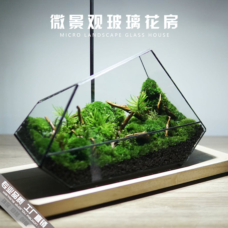 苔藓微景观玻璃生态瓶闷养桌面迷你小盆景造景蒲面青苔雨林水陆缸