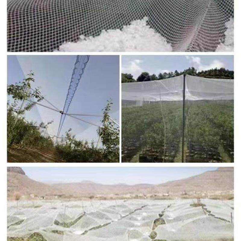 防鸟防雹网加厚果园菱形网樱桃葡萄农用专用网抗晒抗风化厂家直销