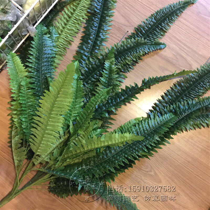 仿真波斯草叶吊兰藤条藤蔓热带植物假花绢花叶子树枝壁挂装饰绿植