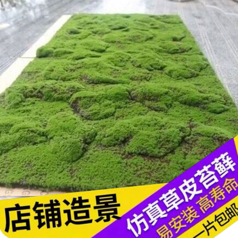 仿真苔藓草皮造景仿生假青苔微景观布置摆件草坪盆景盆栽铺面装饰